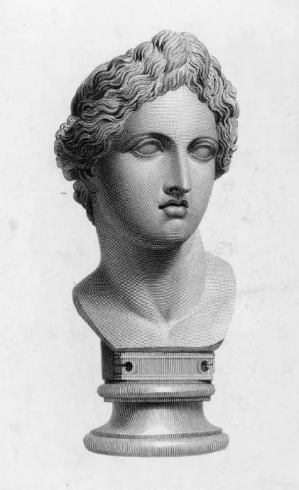 Framed Print : APOLLO (BUST) Framed Print : APOLLO (BUST)