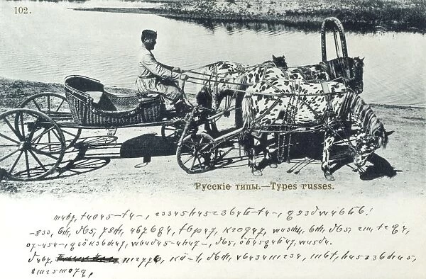 Appalusia Horse-pulled cart