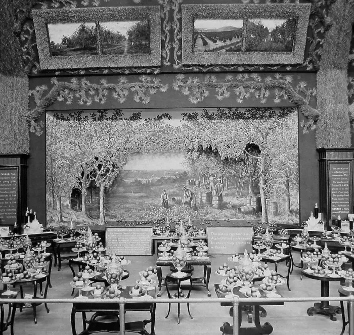 Framed Print : Apple Exhibit, Canadian Pavilion, Franco-British Exhibition Framed Print : Apple Exhibit, Canadian Pavilion, Franco-British Exhibition