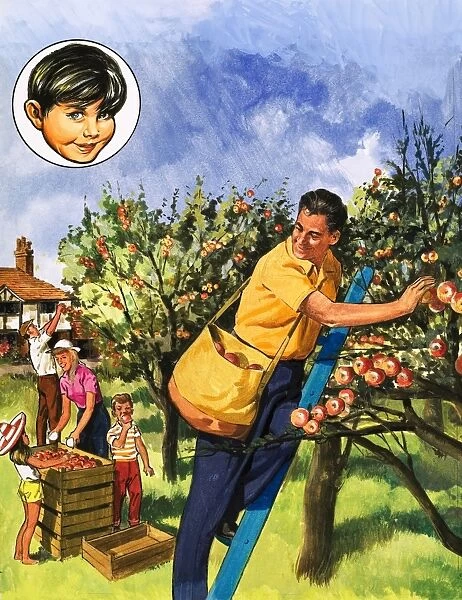 Apple pickers