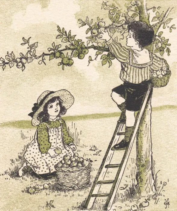 Framed Print : Apple tree adventure Framed Print : Apple tree adventure