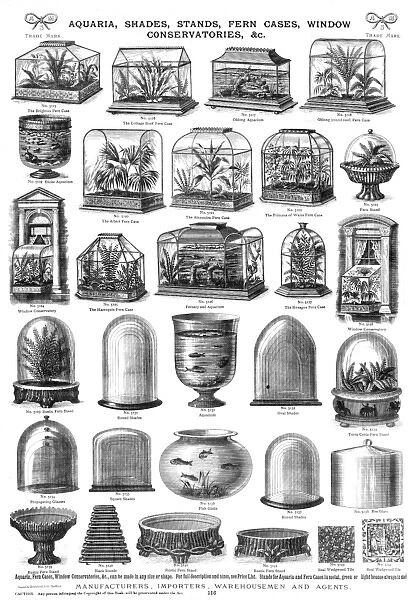 Aquaria, shades, stands, fern cases, Plate 116