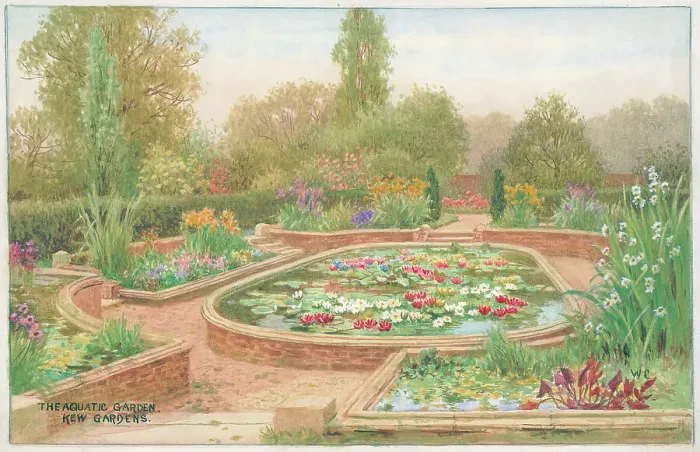 Framed Print : The Aquatic Garden, Kew Gardens Framed Print : The Aquatic Garden, Kew Gardens