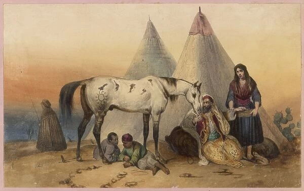 Arab and Arab Horse