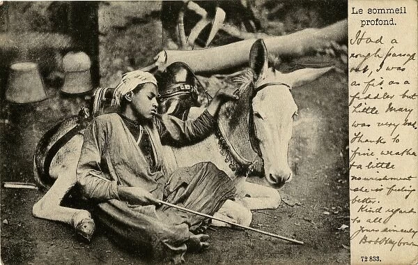 Arab boy with donkey, Egypt