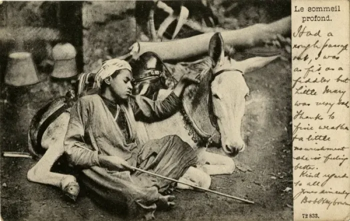 Framed Print : Arab boy with donkey, Egypt Framed Print : Arab boy with donkey, Egypt