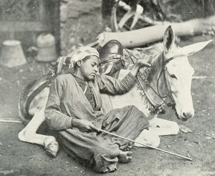 Framed Print : Arab boy resting with his donkey Framed Print : Arab boy resting with his donkey