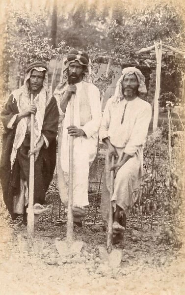 Three Arab Gardeners - Morocco