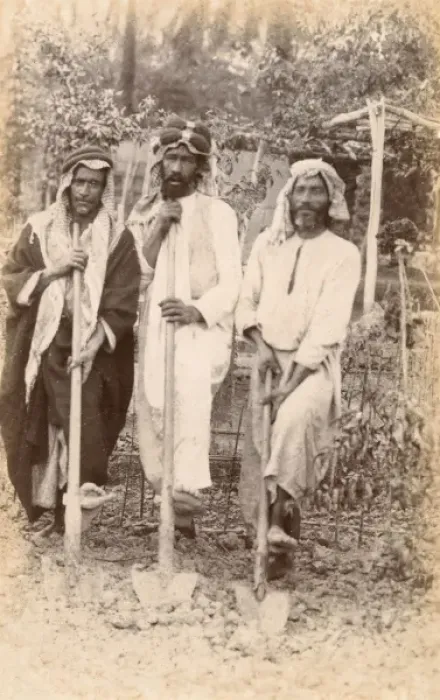 Framed Print : Three Arab Gardeners - Morocco Framed Print : Three Arab Gardeners - Morocco