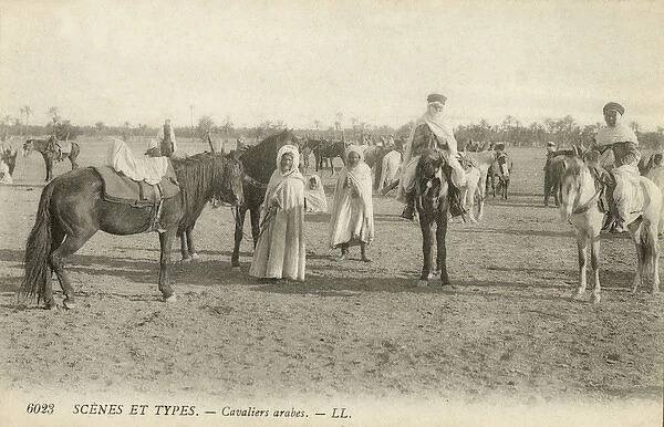 Arab horsemen, North Africa