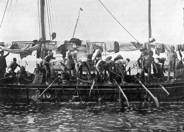 Arab pearl divers at work, 1903
