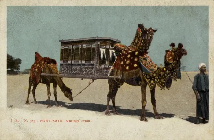 Framed Print : Arab wedding at Port Said, Egypt Framed Print : Arab wedding at Port Said, Egypt