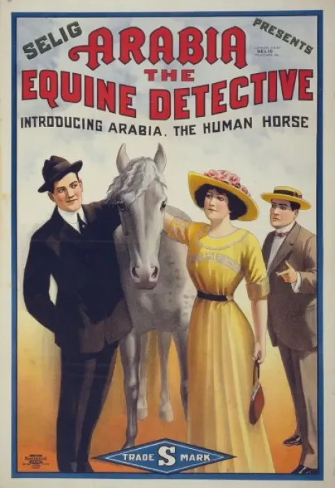 Framed Print : Arabia the equine detective Framed Print : Arabia the equine detective