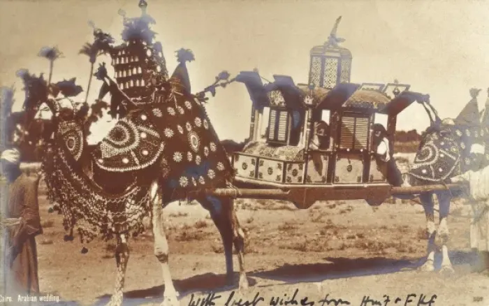 Framed Print : Arabian wedding carriage transporting the bride Framed Print : Arabian wedding carriage transporting the bride