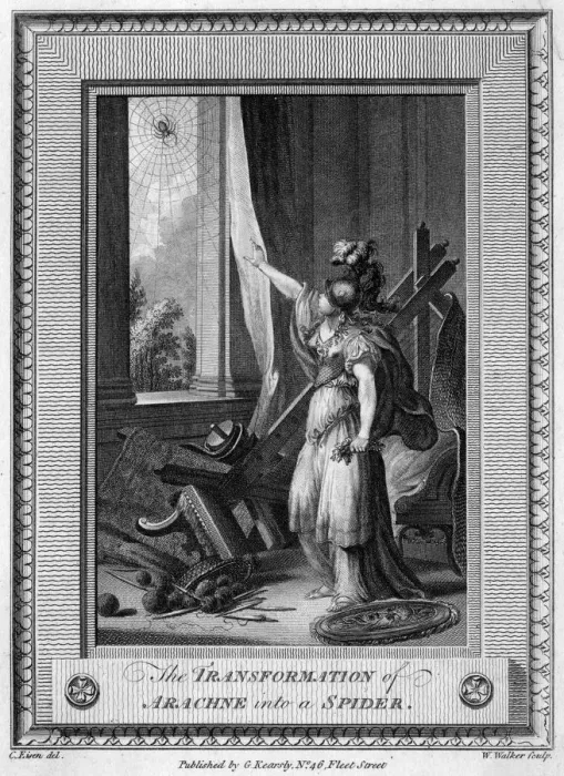 Framed Print : ARACHNE INTO SPIDER Framed Print : ARACHNE INTO SPIDER