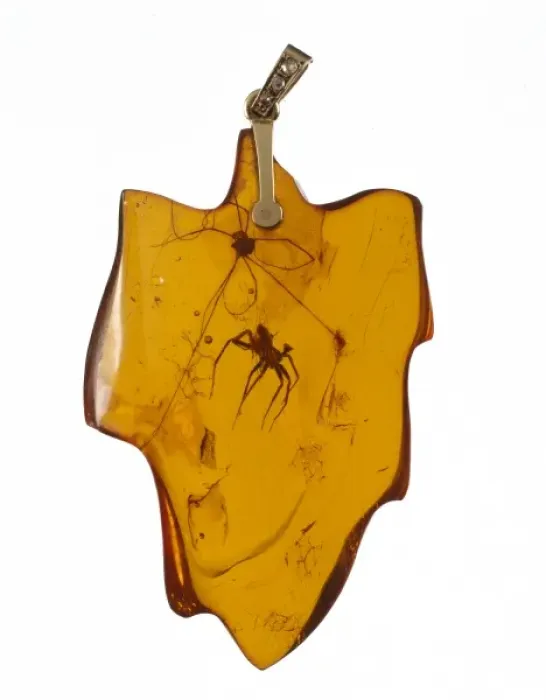 Framed Print : Arachnids in an amber pendant Framed Print : Arachnids in an amber pendant