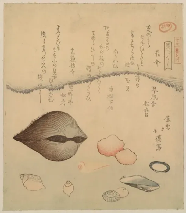 Framed Print : Aragai, masuogai, anagai: clams Aragai, masu?gai, anagai: cl