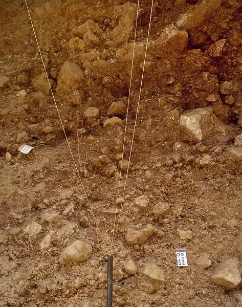 Archaeological Site of Atapuerca. Trinchera del Ferrocarril