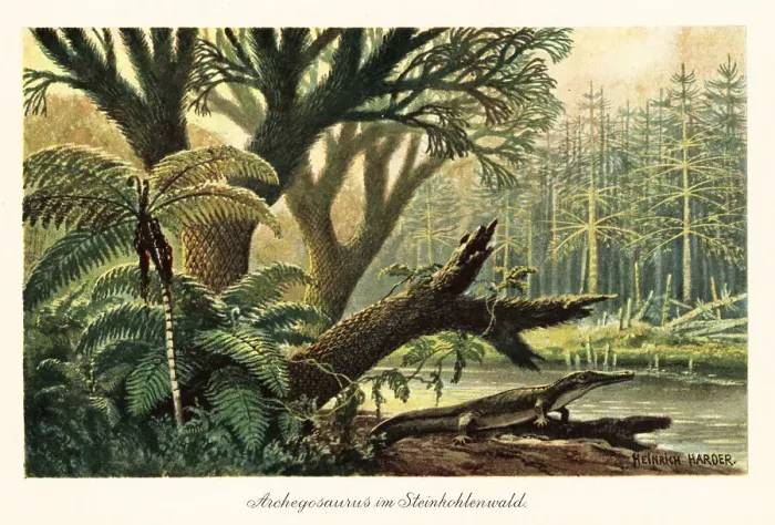 Framed Print : Archegosaurus decheni by a river in a primordial jungle Framed Print : Archegosaurus decheni by a river in a primordial jungle