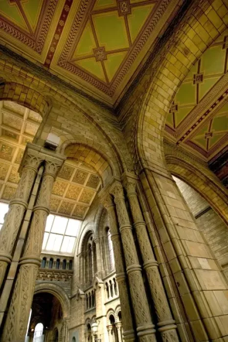 Framed Print : Architectural features of the Main Hall Framed Print : Architectural features of the Main Hall