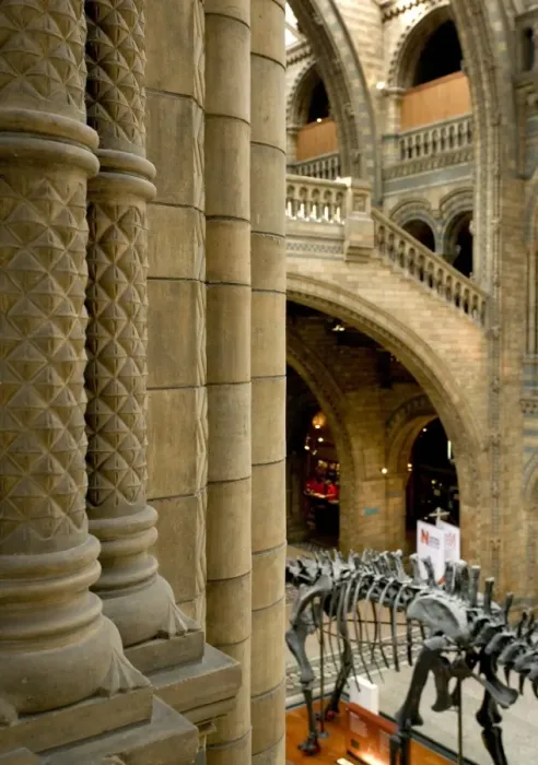 Framed Print : Architectural view of main hall at the Natural History Museu Framed Print : Architectural view of main hall at the Natural History Museu