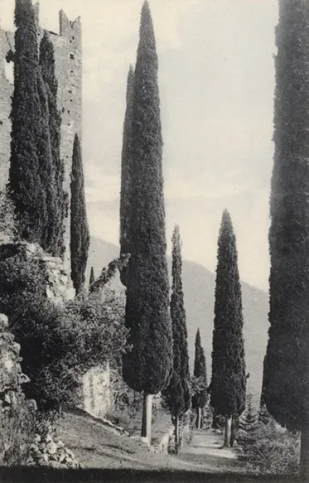 Framed Print : Arco, Lake Garda, Italy - Cypresses Framed Print : Arco, Lake Garda, Italy - Cypresses