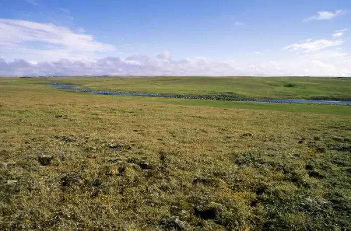 Framed Print : Arctic tundra, a typical landscape near Dikson Framed Print : Arctic tundra, a typical landscape near Dikson