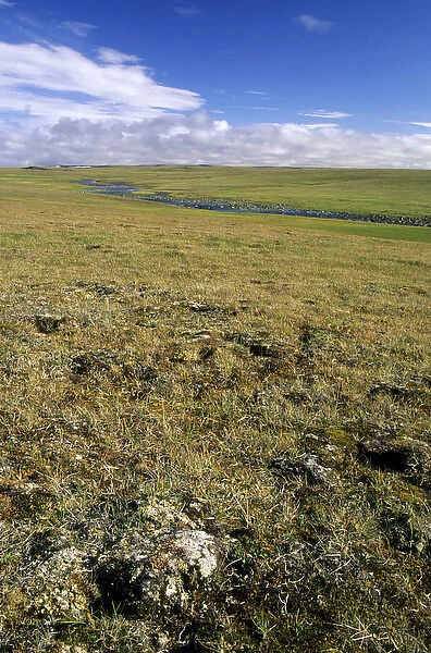 Arctic tundra, a typical landscape near Dikson