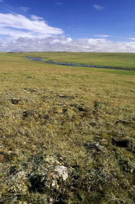 Framed Print : Arctic tundra, a typical landscape near Dikson