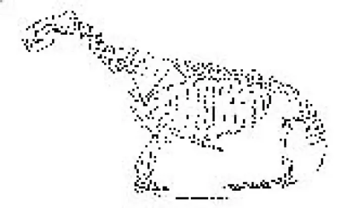 : Arctocephalus forsteri, New Zealand fur seal : Arctocephalus forsteri, New Zealand fur seal