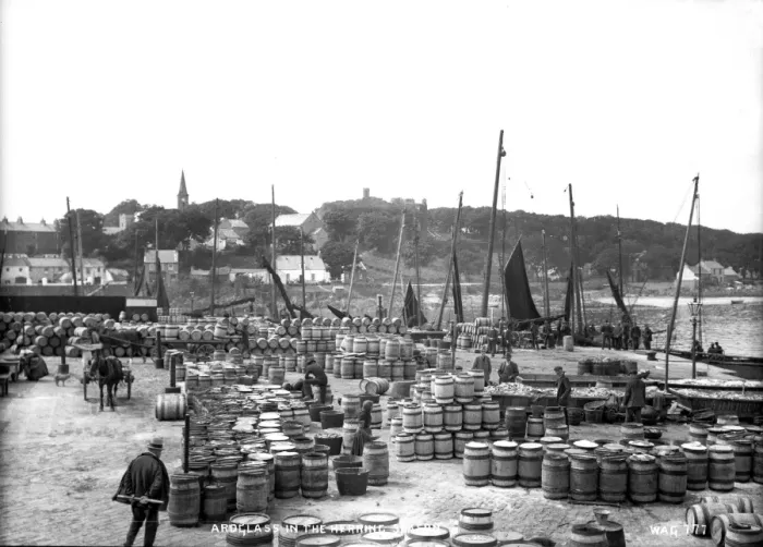 Framed Print : Ardglass in the Herring Season Framed Print : Ardglass in the Herring Season