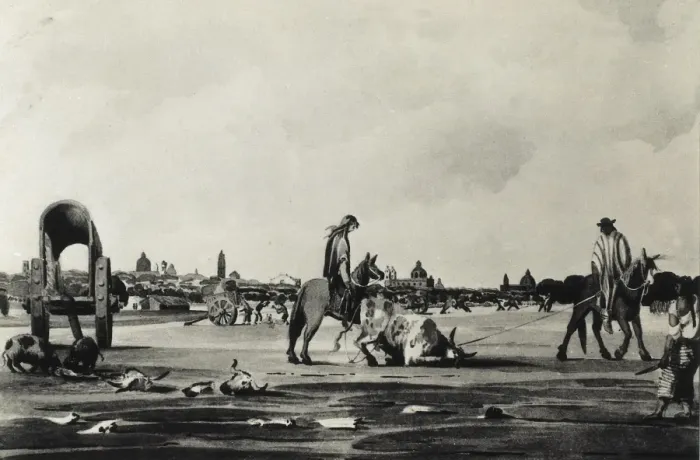 Framed Print : Argentina (19th c. ). Ranchers bringing an animal Framed Print : Argentina (19th c. ). Ranchers bringing an animal