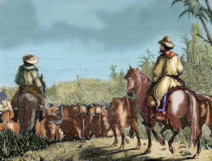 Framed Print : Argentina. Gauchos driving cattle Framed Print : Argentina. Gauchos driving cattle