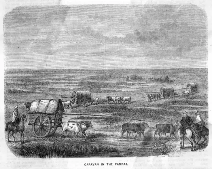 Framed Print : Argentina Pampas