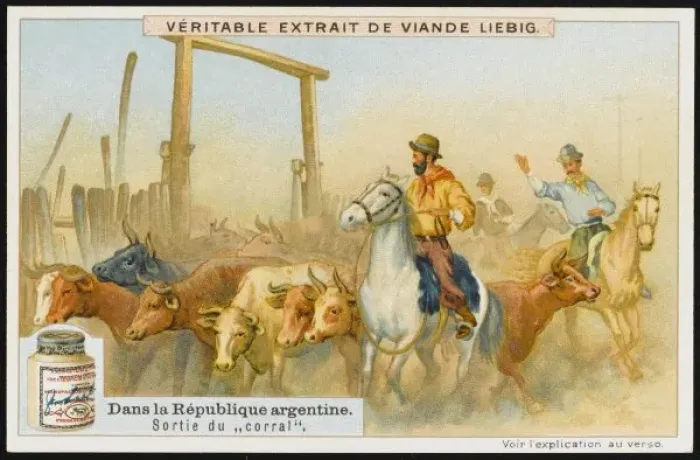Framed Print : Argentine Cattle Drive Framed Print : Argentine Cattle Drive