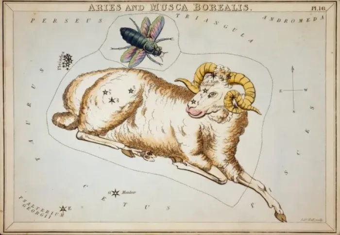 Framed Print : Aries and Musca Borealis Framed Print : Aries and Musca Borealis
