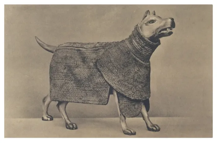 Framed Print : Armoured Dog Statue Framed Print : Armoured Dog Statue