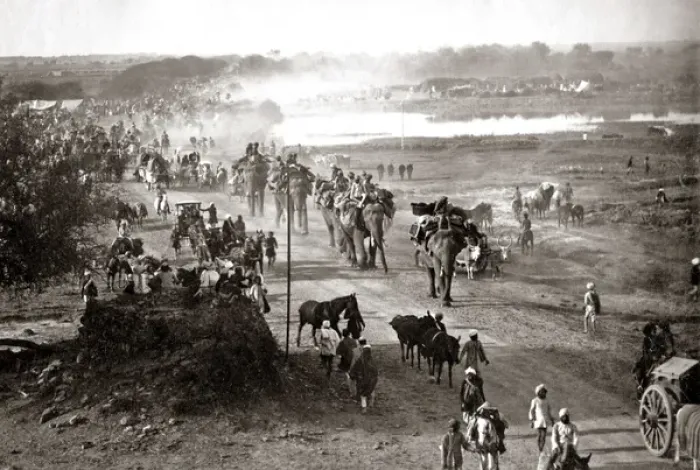 Framed Print : Army Train with elephants Delhi, India, 1886