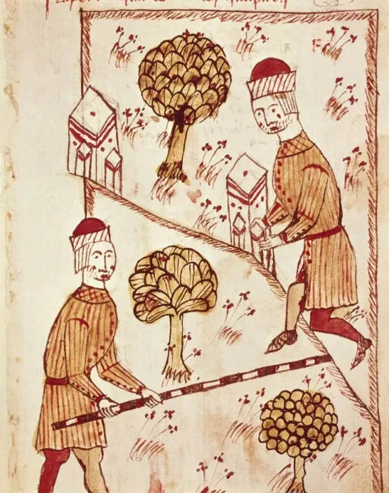 Framed Print : Arnaldus de Villa Nova (1240 - 1312); BOYSSET Framed Print : Arnaldus de Villa Nova (1240 - 1312); BOYSSET