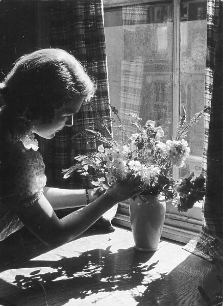 Arranging Flowers. A pretty young woman arranges flowers next to a window on a sunny day