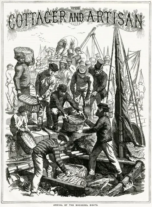 Framed Print : Arrival of the mackerel boats 1868 Framed Print : Arrival of the mackerel boats 1868