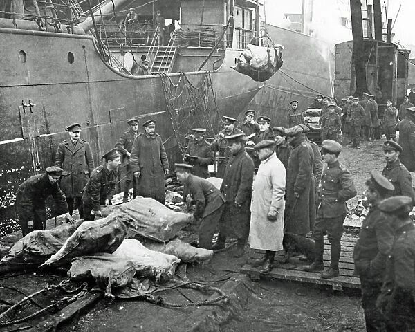 Arrival of a meat-ship for the Western Front