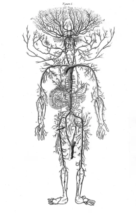 Framed Print : Arterial System / Drake Framed Print : Arterial System / Drake