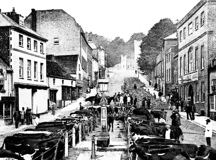 Framed Print : Arundel Cattle Market early 1900s Framed Print : Arundel Cattle Market early 1900s