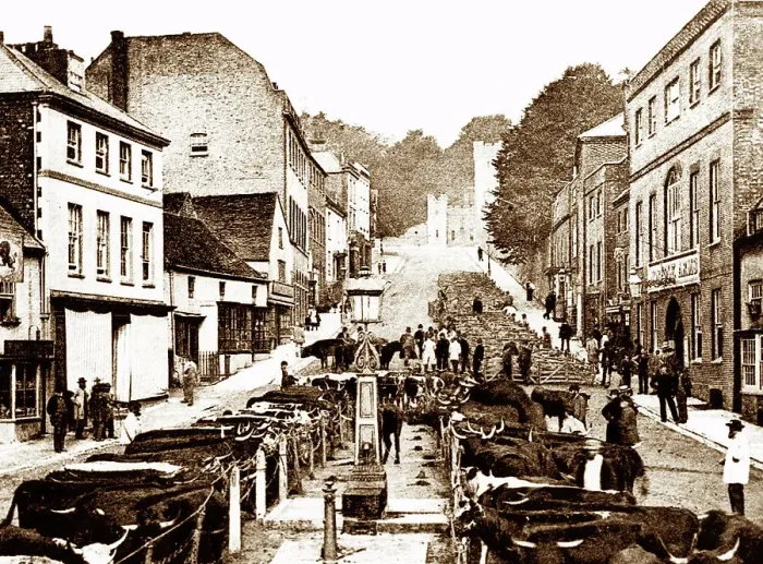 Framed Print : Arundel market, early 1900s Framed Print : Arundel market, early 1900s