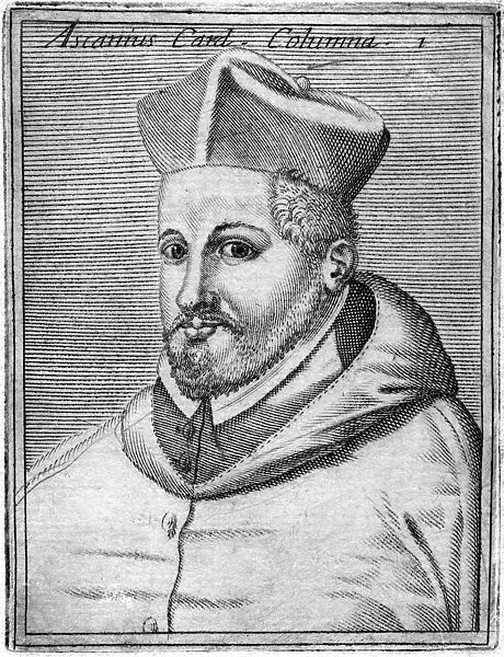 Ascanius Colonna. ASCANIUS COLONNA Italian churchman : cardinal who collected books