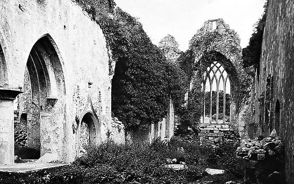 Askeaton Abbey, County Limerick, Ireland