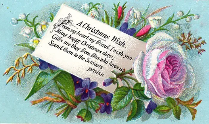 Framed Print : Assorted flowers on a Christmas card Framed Print : Assorted flowers on a Christmas card