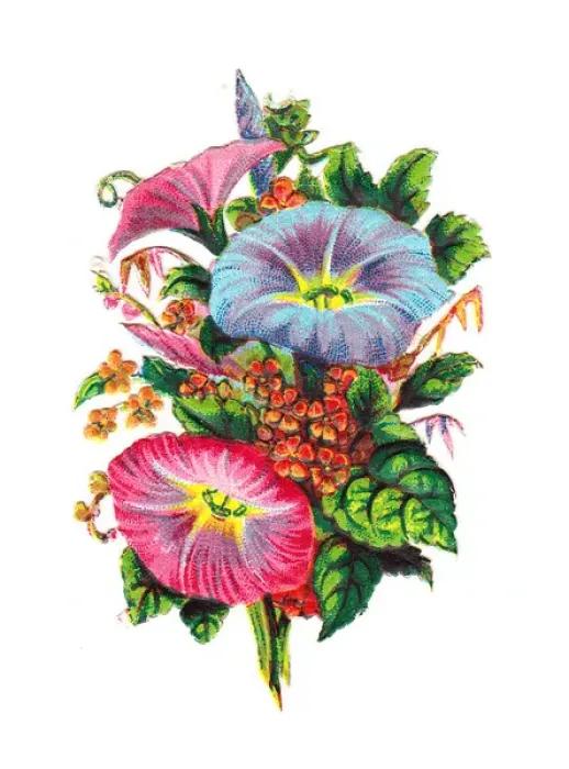 Framed Print : Assorted flowers on a Victorian scrap Framed Print : Assorted flowers on a Victorian scrap