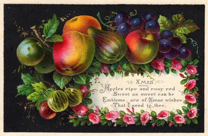 Framed Print : Assorted fruit on a Christmas card Framed Print : Assorted fruit on a Christmas card